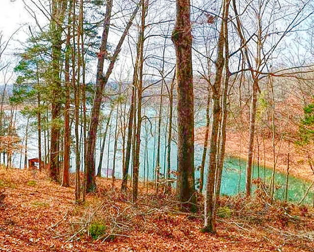 Norris Point Lots for Sale on Norris Lake